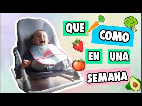 Menú ideal para bebés de 1 año en España