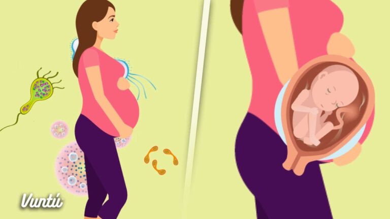 Leche pasteurizada y cuajo: ¿Seguros durante el embarazo?