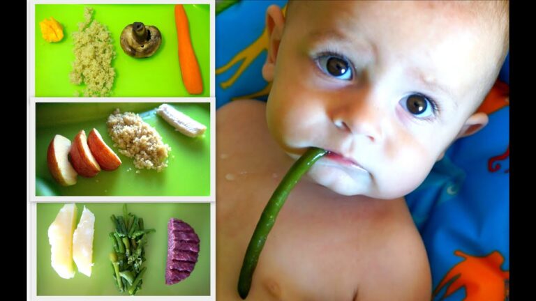 Menú saludable: Recetas fáciles y nutritivas para los primeros 6 meses
