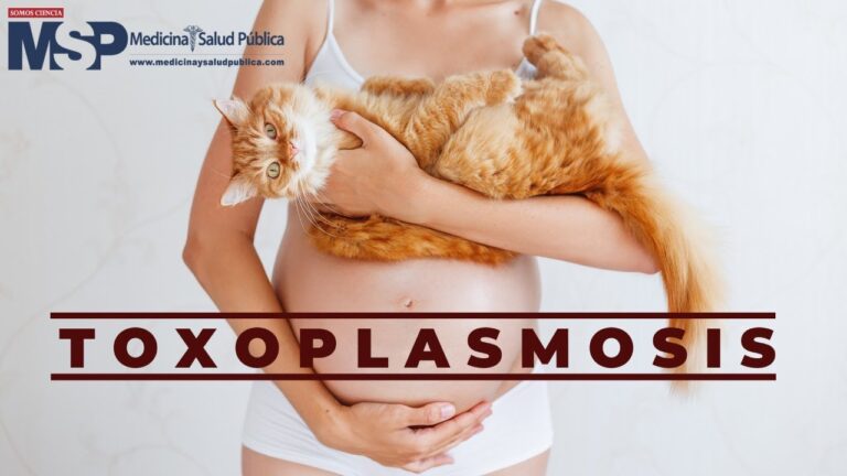 La relación entre los gatos caseros y la toxoplasmosis: ¿un riesgo real?