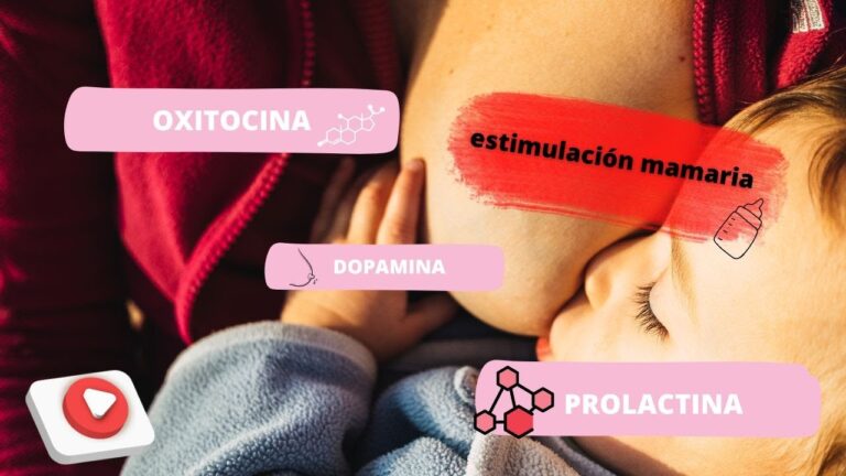 Prolactina y oxitocina: Hormonas clave en la lactancia y el vínculo materno-infantil
